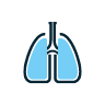 respiratory icon
